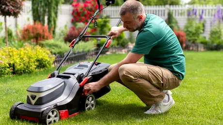 Când să tunzi gazonul: dimineața sau seară? Avertismentul pentru grădinari și cum să eviți o greșeală majoră