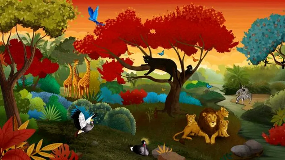 Test de personalitate | Primul animal pe care îl vezi îți va spune cea mai mare problemă pe care o ai