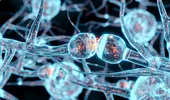 Creierul poate crea noi conexiuni și după 80 de ani. Prof. Dr. Vlad Ciurea explică ce obiceiuri mențin mintea tânără