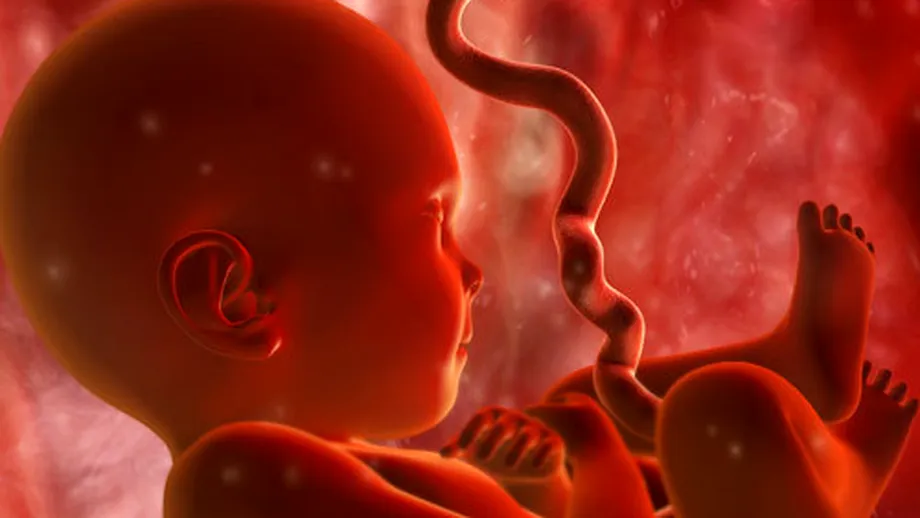 Adaptarea la viaţa extrauterină, momente spectaculoase