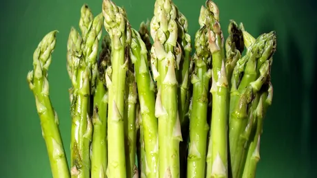 Un aminoacid din sparanghel, responsabil de răspândirea cancerului