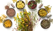 Cele mai puternice plante medicinale pentru sănătate: ce să folosești pentru detoxifiere, rinichi, memorie sau inflamații