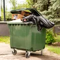 Cum scapi de muștele din jurul tomberonului. Trucurile simple care pot ține insectele la distanță în zilele călduroase
