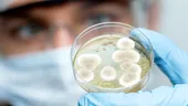 Bacteria care a eliminat complet tumorile după o singură doză