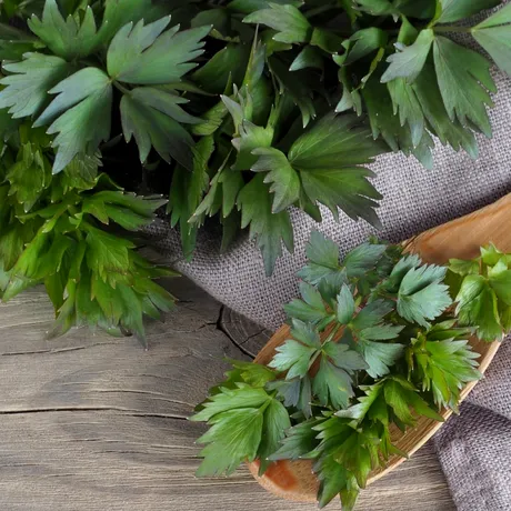 De ce să nu mai pui leuștean în ciorbă. Greșeala pe care multe gospodine o fac