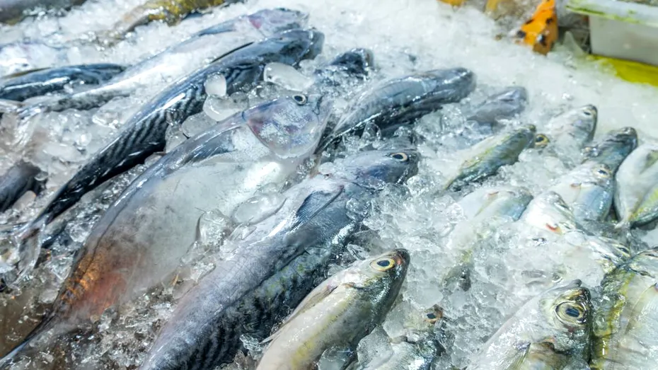 Alimente care conțin mai multă proteină decât peștele, pe care le poți mânca în post