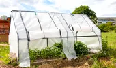 (P) Protecția plantelor de soare excesiv: soluții pentru grădini și culturi