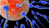 10 mituri despre contracepție în care să nu mai crezi