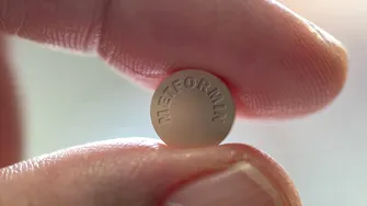 Îndulcitorii artificiali și înlocuitorii zahărului: sunt cu adevărat o alternativă sănătoasă?