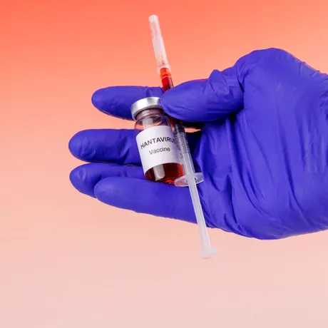 OMS cere respectarea carantinei după focarul de hantavirus de pe vasul de croazieră. Se pregătește un protocol special!