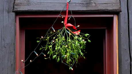 Unde se pune vâscul de Sărbători. Locul special care aduce protecție casei și noroc familiei