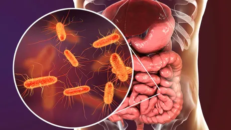 Lista medicamentelor eliberate pe bază de rețetă care pot afecta microbiomul