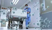„Long-Hantavirus”? Cercetătorii analizează efectele pe termen lung ale infecției, după modelul Long Covid