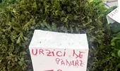 Cât costă un kilogram de urzici în piețele din București: „Mai scump decât carnea de porc”. Reacția lui Dan Negru