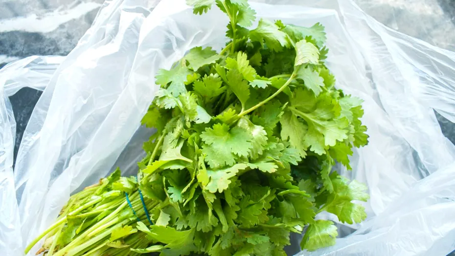 „De ce gustul de coriandru e ca săpunul pentru unii?” Explicarea fenomenului neobișnuit