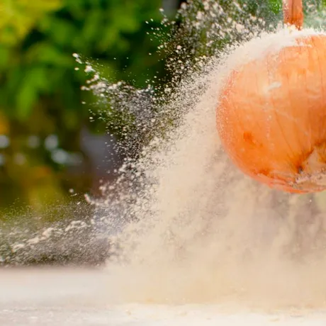 „Capcana” naturală cu ceapă și bicarbonat pentru furnici, păianjeni și alte insecte