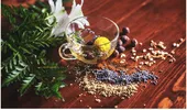 Obosit după o noapte nedormită? Aceste 7 plante pot fi aliatul tău natural