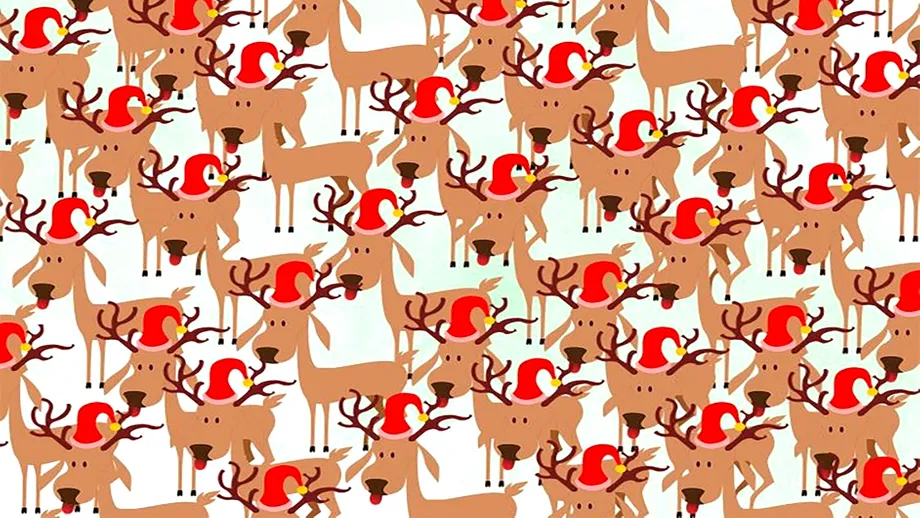 Test de logică de Ajun | Care dintre renii lui Moș Crăciun e diferit de ceilalți?