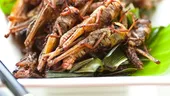 Excentricităţi culinare: şobolani fierţi, porcuşor de Guineea prăjit şi lăcuste caramelizate