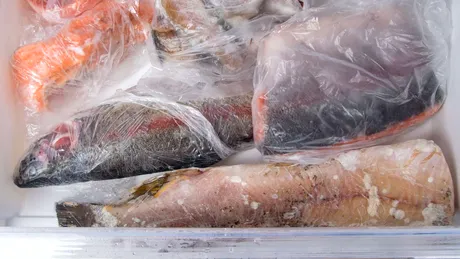 Puțini români știu acest lucru. Câte luni poate fi ținut peștele în congelator, de fapt