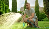 Greșeala pe care mulți o fac când udă gazonul vara! Ora la care iarba absoarbe cel mai bine apa