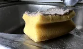 Cât de des trebuie să schimbi buretele de vase. Semnele care arată că e nevoie de unul nou