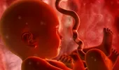 Tratament pentru fertilitate: ovule create din celule stem