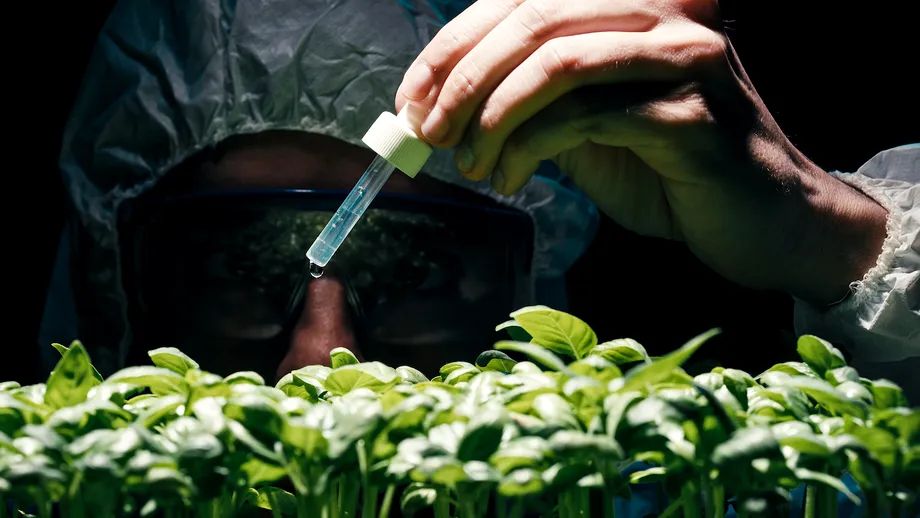 „Chimicalele eterne” perturbă procesele biologice la copii și tineri: studiu