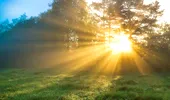 Cum va fi vremea în toamna lui 2025, în România. Meteorologii EaseWeather au emis prognoza
