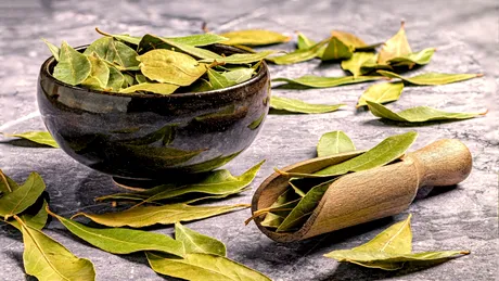 Locul din casă în care trebuie să arzi foi de dafin. Aşa atragi bogăţia şi norocul