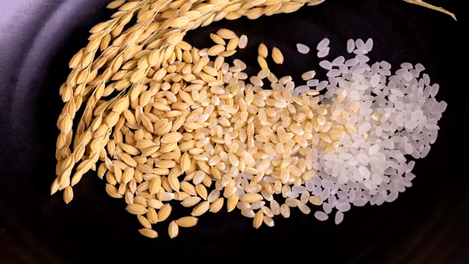 Ce se întâmplă în organismul tău atunci când renunți la cerealele rafinate