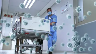 „Long-Hantavirus”? Cercetătorii analizează efectele pe termen lung ale infecției, după modelul Long Covid
