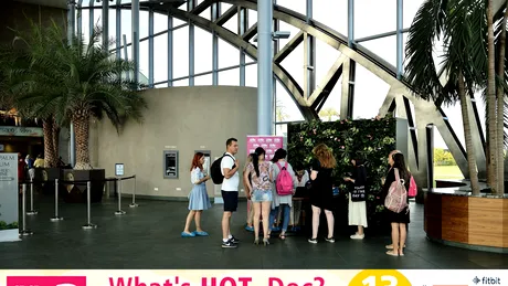 Cum a fost atmosfera la conferinţa ”What's HOT, Doc?” by CSID