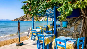 A crescut numărul atacurilor peștelui-iepure în Grecia. Autoritățile iau măsuri: ce le recomandă turiștilor?