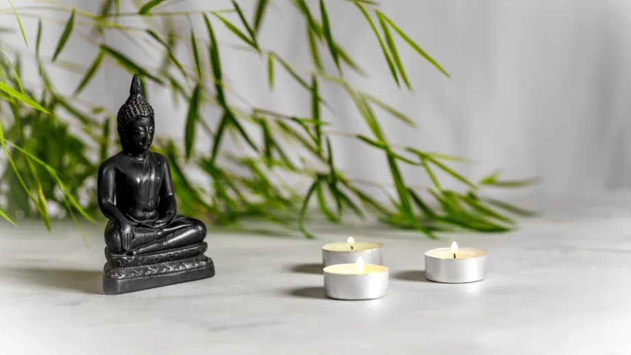 Floarea care poate alunga energiile negative din casă. Nu necesită îngrijire specială