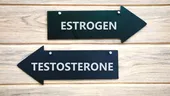 Hormonii sexuali - estrogenul și testosteronul. Importanța lor pentru viața sexuală