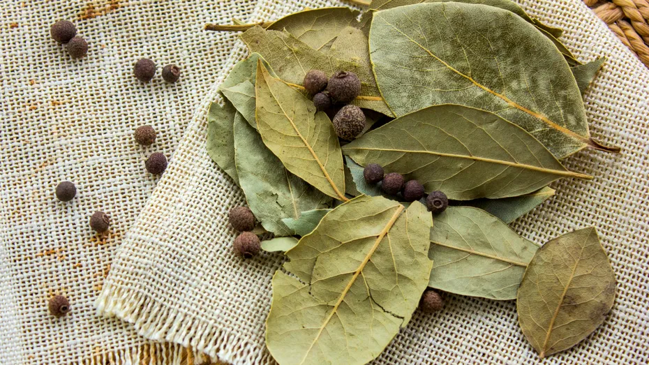De ce pun gospodinele frunze de dafin în dulap toamna