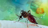 Cum scapi de țânțari fără insecticide: 5 soluții naturale pentru casa ta