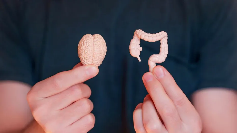 Îmbunătășește-ți sănătatea intestinului și starea de spirit adăugând o legumă obișnuită la fiecare masă