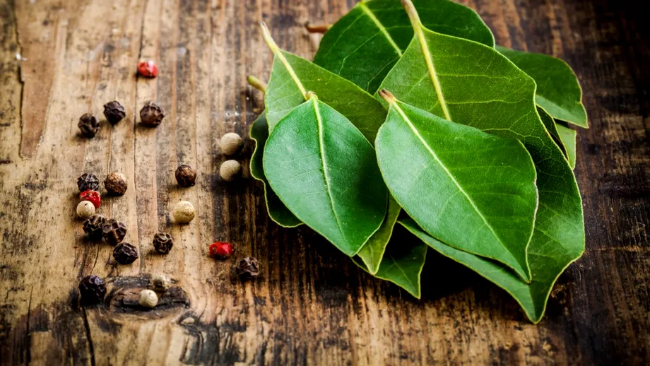 Ce se întâmplă dacă pui frunze de dafin în bradul de Crăciun? Cum ți se va schimba viața, conform tradiției Feng Shui