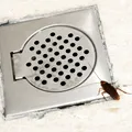 Ce trebuie să faci să nu-ți mai vină gândaci prin scurgerea de la cadă sau duș. Trucuri ieftine care te scapă definitiv de problema gândacilor în baie