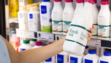 Lapte integral versus lapte degresat - ce să alegi? - VIDEO by CSID