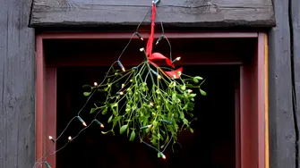 Unde se pune vâscul de Sărbători. Locul special care aduce protecție casei și noroc familiei