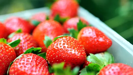 Căpşunile, recomandate în cura de slăbire şi pentru bolnavii de gastrită - VIDEO by CSID