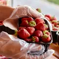 Surpriză neașteptată într-o caserolă cu căpșuni! Ce a descoperit un bucureștean după ce a ajuns acasă