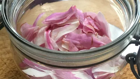 Petale de magnolie murate - rețeta lui Jamie Oliver