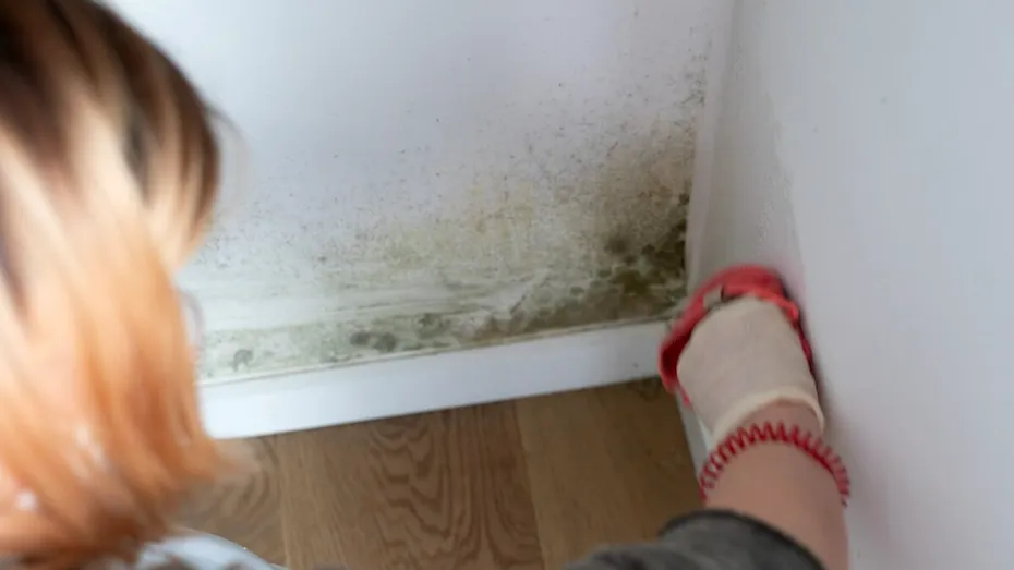 Elimină mucegaiul de pe pereți în 10 minute cu o soluție naturală, făcută în casă