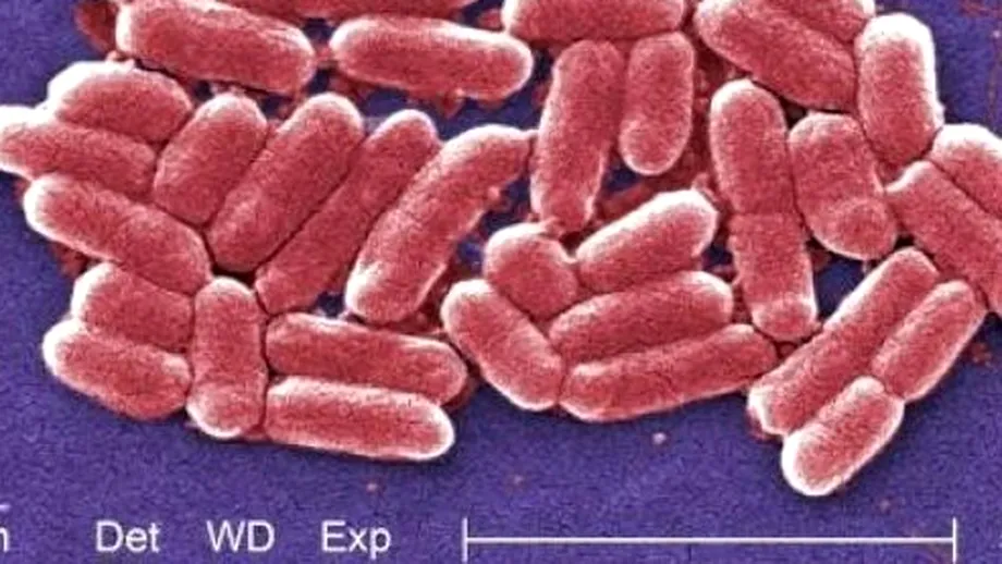 Bacteria rezistentă la toate antibioticele face noi victime
