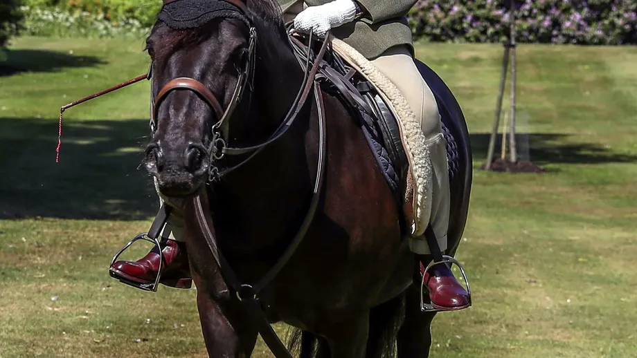 Regina Elisabeta a II-a, călare pe cal la 94 de ani, fără cască de protecţie, ci batic