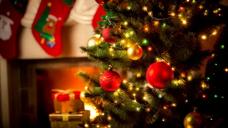Când e bine să faci bradul de Crăciun și ce trebuie să pui neapărat în el! Obiectele de neratat